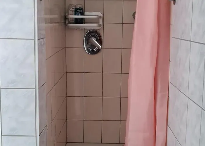 Am Althanshof 公寓 *